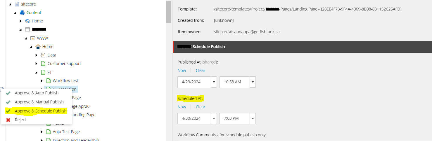 A screenshot showing schedule publishing options in a content management system.