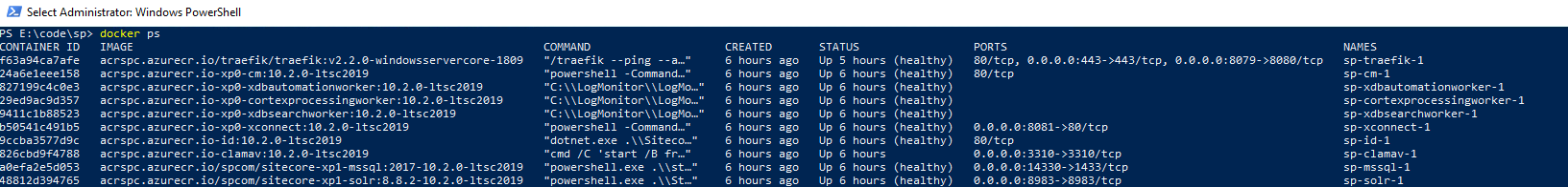 Output of 'docker ps' command listing active Docker containers and their statuses.