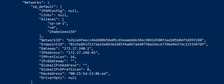 Detailed view of network settings for a Docker container including IP address and network ID.