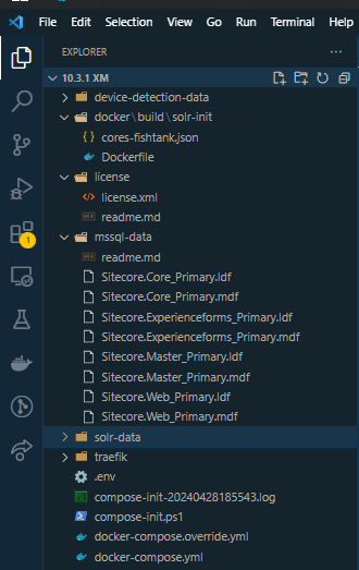 Visual Studio Code interface displaying a file tree related to Solr configuration and indexes.