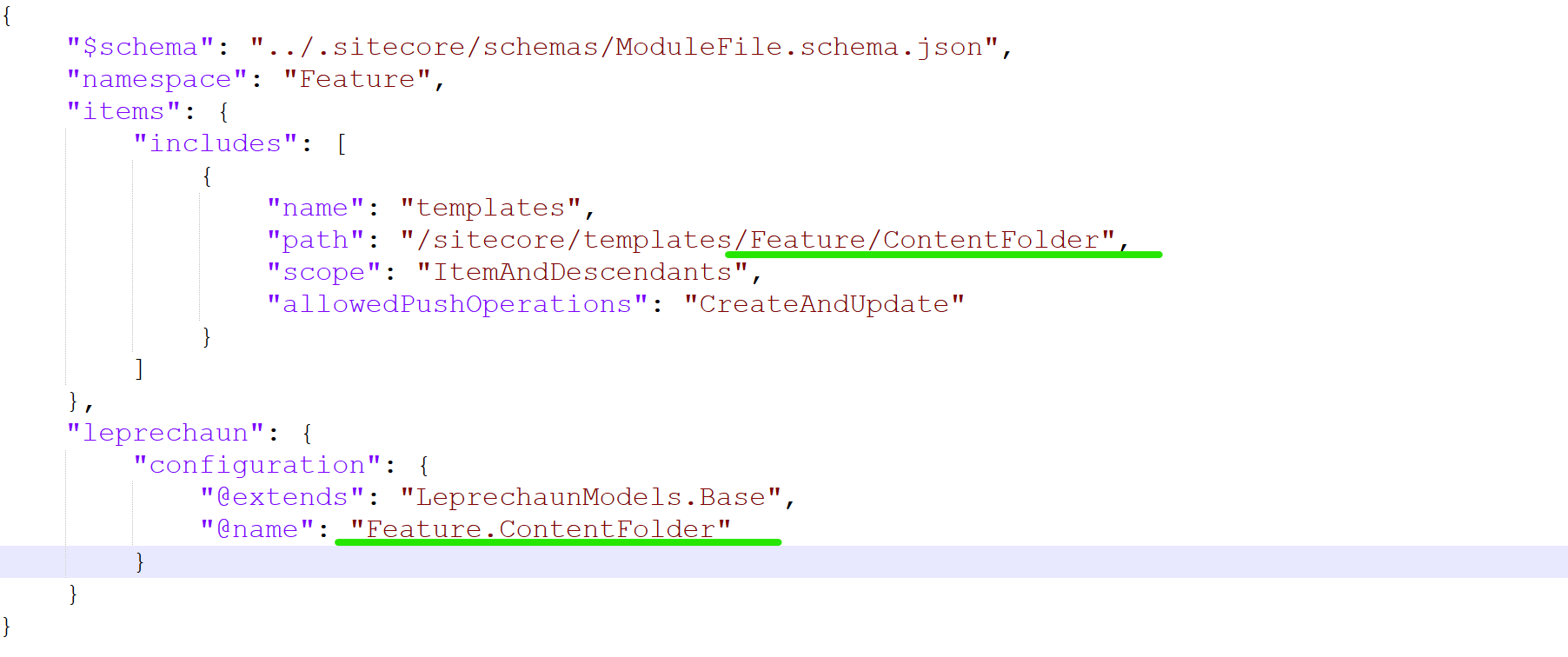 Detailed view of a JSON file focusing on the configuration path attributes within a module.